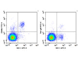FITC Anti-Mouse CD49b/pan-NK cells Antibody[DX5], Biomarkers, Elabscience Biotechnology, MSE Supplies