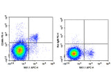 PE Anti-Mouse CD49b/pan-NK cells Antibody[DX5], Biomarkers, Elabscience Biotechnology, MSE Supplies