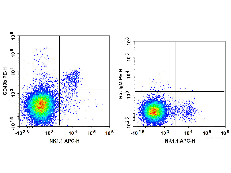 PE Anti-Mouse CD49b/pan-NK cells Antibody[DX5], Biomarkers, Elabscience Biotechnology, MSE Supplies