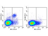 APC Anti-Mouse CD49b/pan-NK cells Antibody[DX5], Biomarkers, Elabscience Biotechnology, MSE Supplies