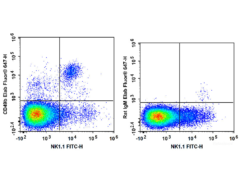 Elab Fluor® 647 Anti-Mouse CD49b/pan-NK cells Antibody[DX5], Biomarkers, Elabscience Biotechnology, MSE Supplies