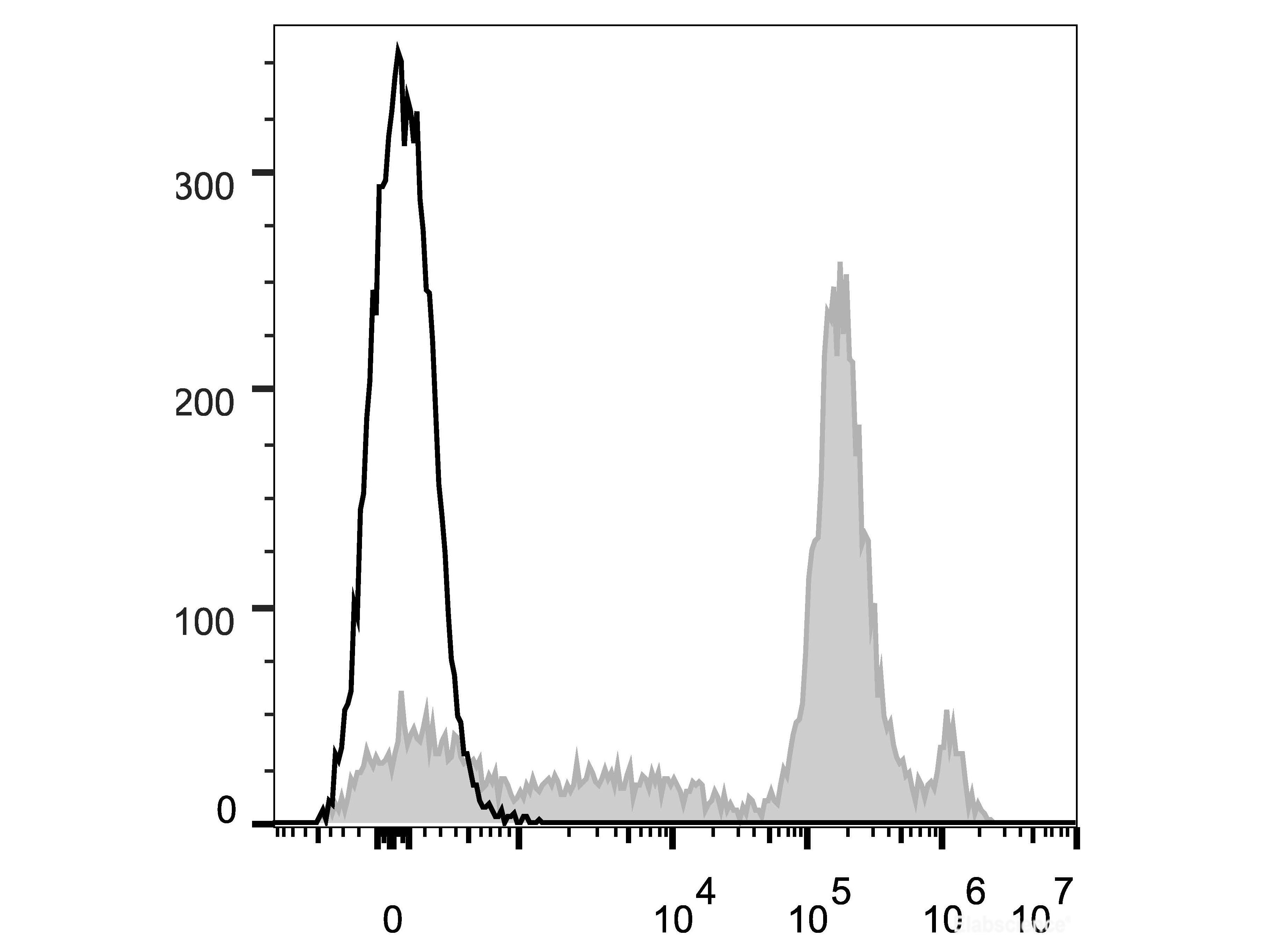 Elab Fluor® 647 Anti-Mouse Ly6C Antibody[Monts 1], Biomarkers, Elabscience Biotechnology, MSE Supplies
