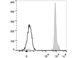 FITC Anti-Mouse CD45.2 Antibody[104.2], Biomarkers, Elabscience Biotechnology, MSE Supplies