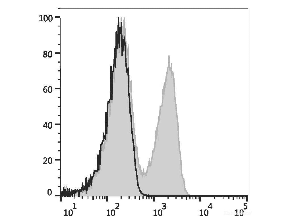 Elab Fluor® Violet 450 Anti-Mouse TCRβ Antibody[H57-597 (HB218)], Biomarkers, Elabscience Biotechnology, MSE Supplies