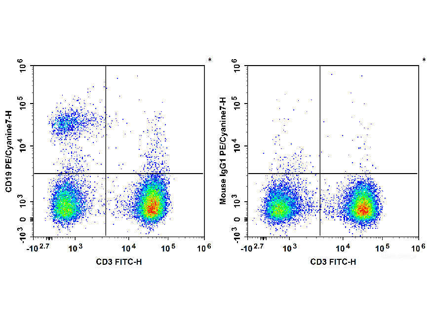 PE/Cyanine7 Anti-Human CD19 Antibody[4G7], Biomarkers, Elabscience Biotechnology, MSE Supplies