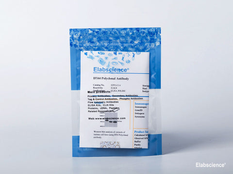 AF/LE Purified Anti-Mouse CD279/PD-1 Antibody[29F.1A12], Biomarkers, Elabscience Biotechnology, MSE Supplies