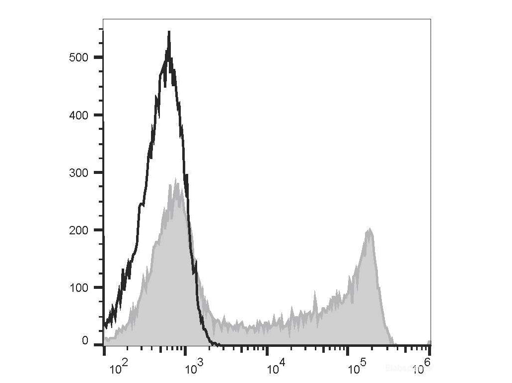 Elab Fluor® 488 Anti-Human CD45RO Antibody[UCHL1], Biomarkers, Elabscience Biotechnology, MSE Supplies
