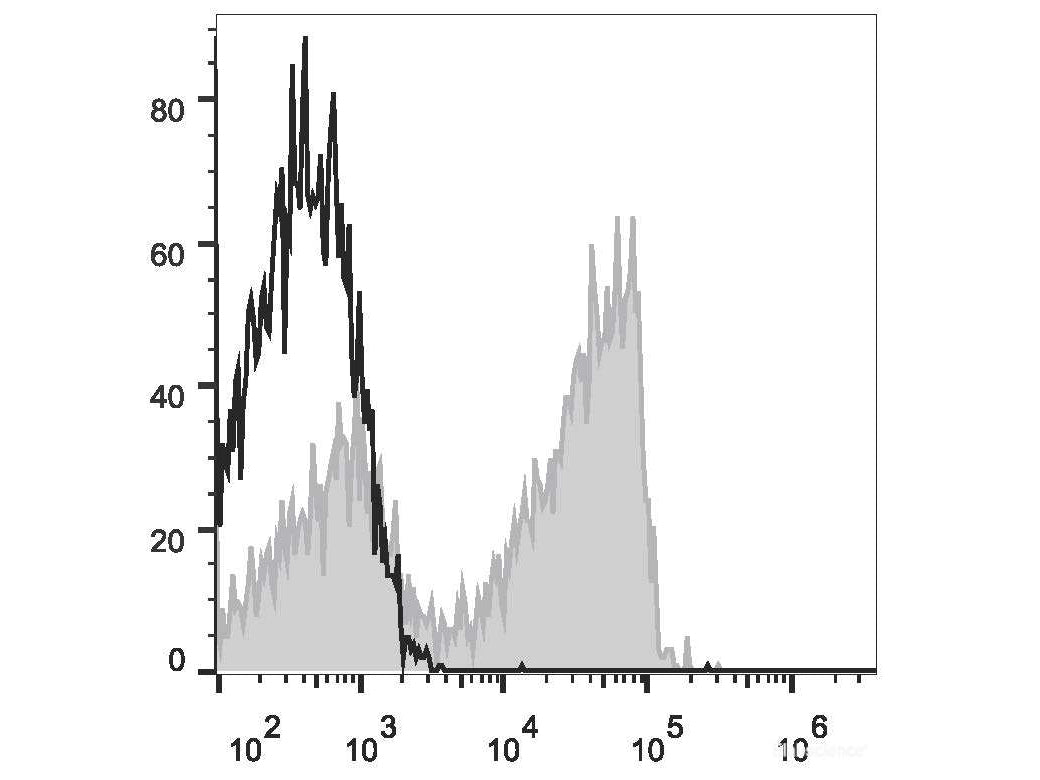 Elab Fluor® 647 Anti-Human CD27 Antibody[O323], Biomarkers, Elabscience Biotechnology, MSE Supplies