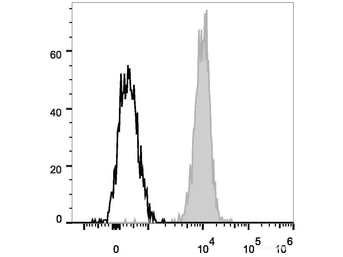 PE/Cyanine7 Anti-Human CD10 Antibody[HI10a], Biomarkers, Elabscience Biotechnology, MSE Supplies