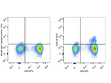 FITC Anti-Human TCR γ/δ Antibody[B1], Biomarkers, Elabscience Biotechnology, MSE Supplies