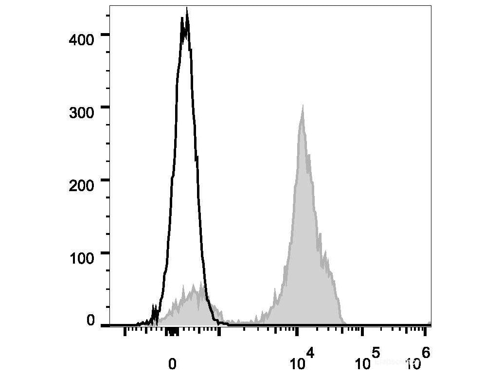 PE Anti-Human CD2 Antibody[TS1/8], Biomarkers, Elabscience Biotechnology, MSE Supplies
