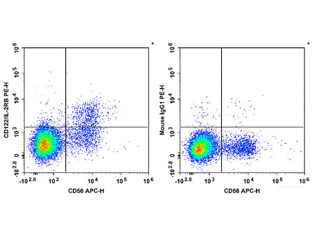PE Anti-Human CD122/IL-2RB Antibody[TU27], Biomarkers, Elabscience Biotechnology, MSE Supplies