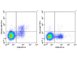 PE Anti-Human CD122/IL-2RB Antibody[TU27], Biomarkers, Elabscience Biotechnology, MSE Supplies