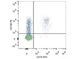 PE Anti-Human CD196/CCR6 Antibody[G034E3], Biomarkers, Elabscience Biotechnology, MSE Supplies