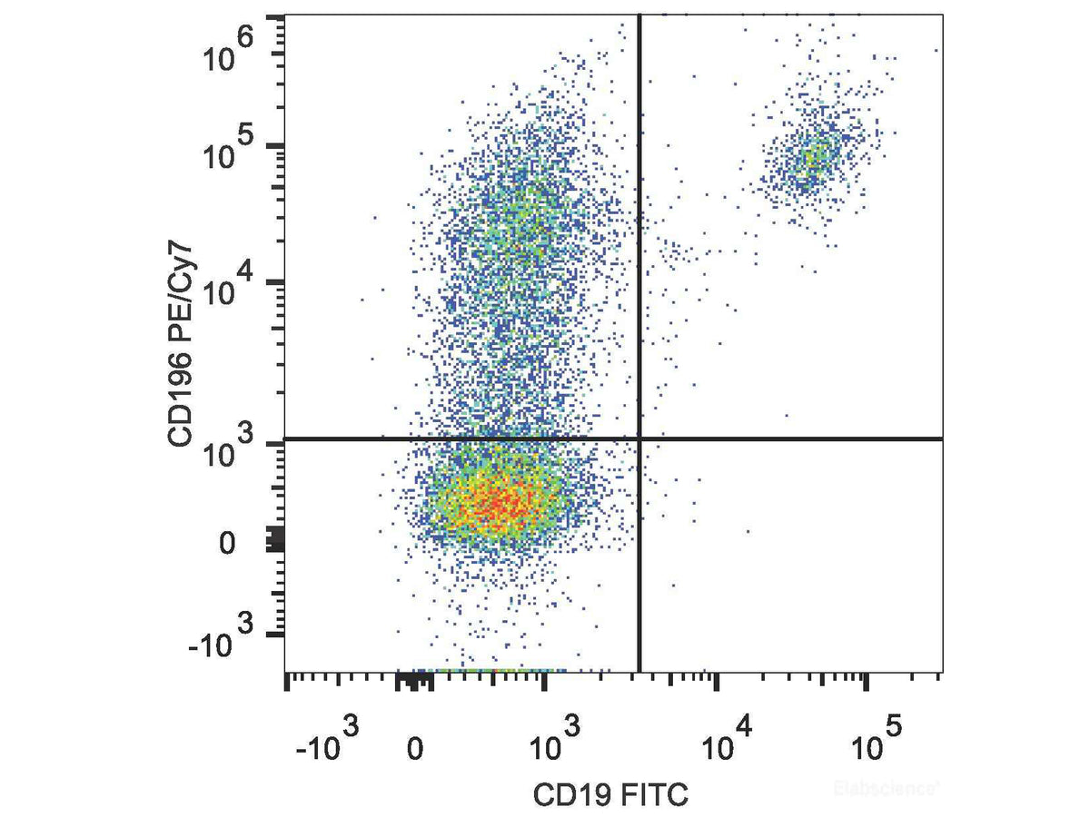 PE/Cyanine7 Anti-Human CD196/CCR6 Antibody[G034E3], Biomarkers, Elabscience Biotechnology, MSE Supplies