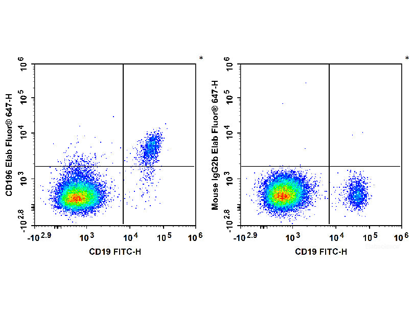Elab Fluor® 647 Anti-Human CD196/CCR6 Antibody[G034E3], Biomarkers, Elabscience Biotechnology, MSE Supplies