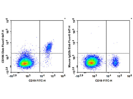 Elab Fluor® 647 Anti-Human CD196/CCR6 Antibody[G034E3], Biomarkers, Elabscience Biotechnology, MSE Supplies