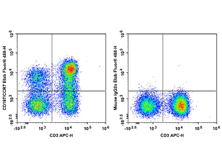 Elab Fluor® 488 Anti-Human CD197/CCR7 Antibody[G043H7], Biomarkers, Elabscience Biotechnology, MSE Supplies