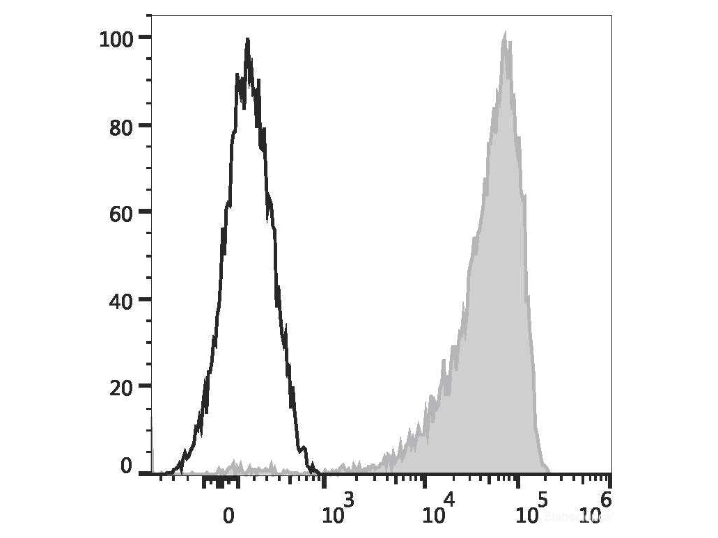 Elab Fluor® 488 Anti-Human CD36 Antibody[5-271], Biomarkers, Elabscience Biotechnology, MSE Supplies