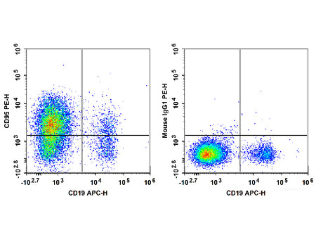 PE Anti-Human CD95/Fas Antibody[DX2]