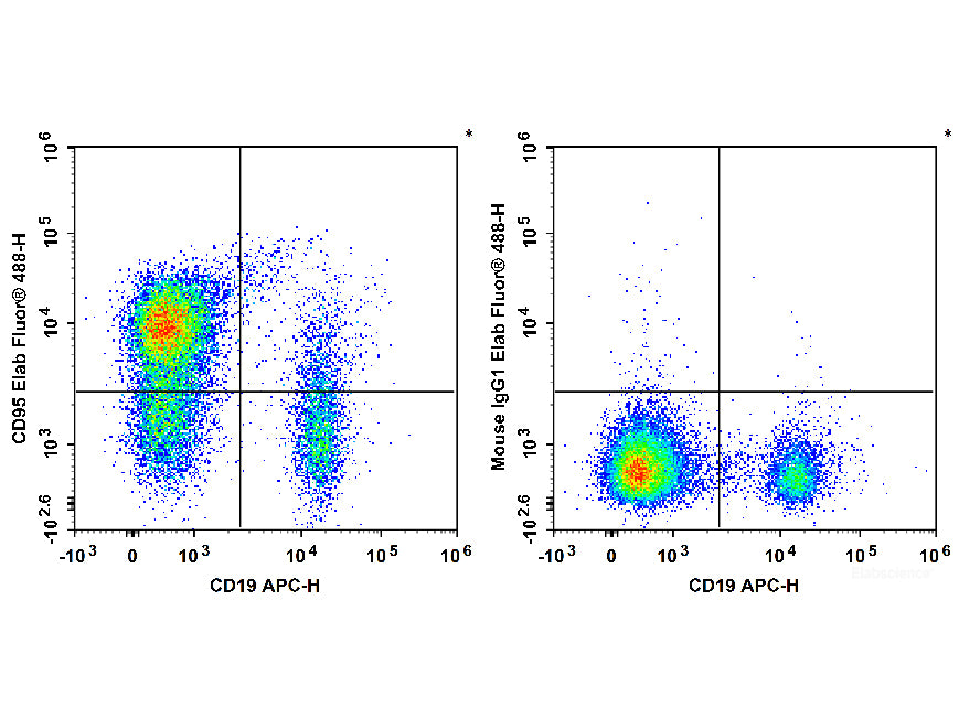 Elab Fluor® 488 Anti-Human CD95/Fas Antibody[DX2]