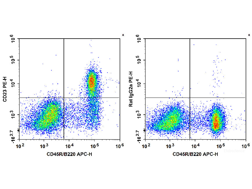 PE Anti-Mouse CD23 Antibody[B3B4]