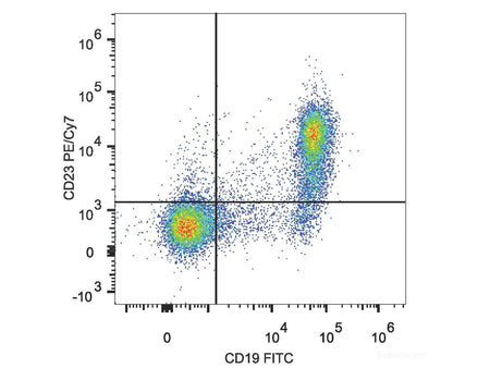 PE/Cyanine7 Anti-Mouse CD23 Antibody[B3B4]