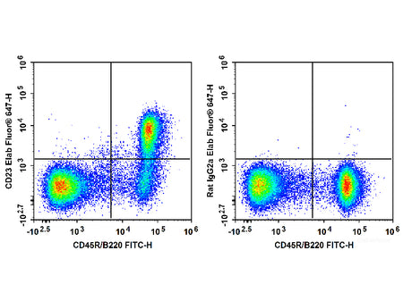Elab Fluor® 647 Anti-Mouse CD23 Antibody[B3B4]