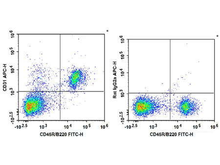 APC Anti-Mouse CD31 Antibody[390]