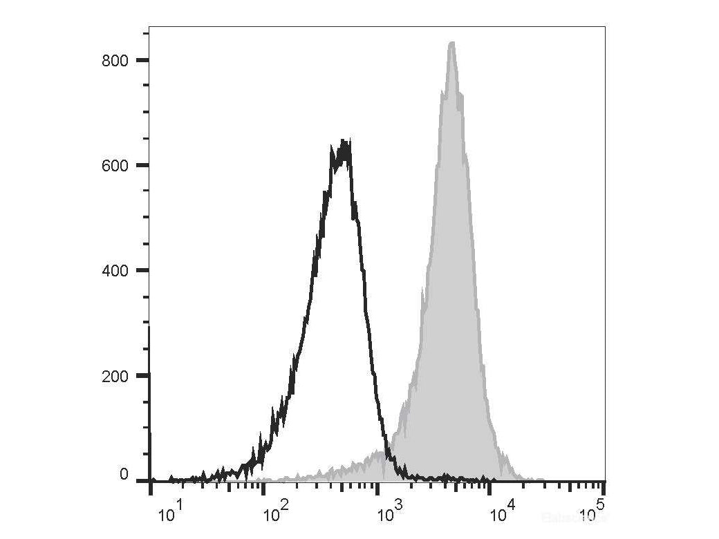 Elab Fluor® 488 Anti-Mouse CD31 Antibody[390]