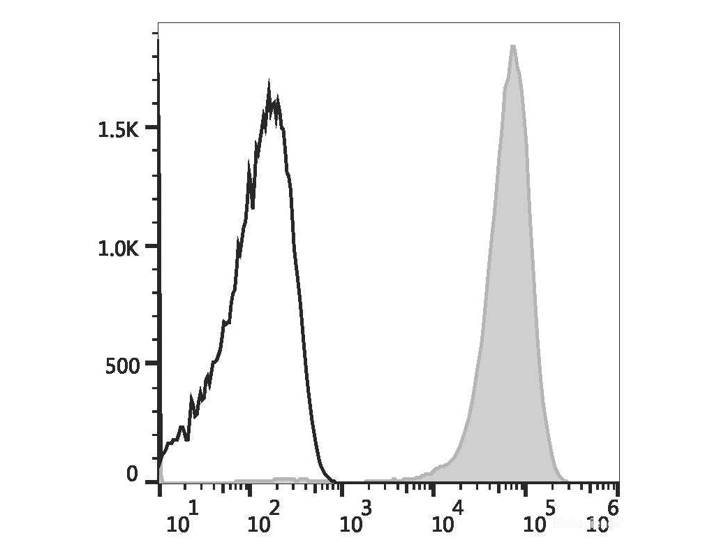 PE Anti-Mouse CD41 Antibody[MWReg30]