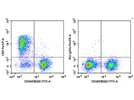 PerCP Anti-Mouse CD5 Antibody[53-7.3]
