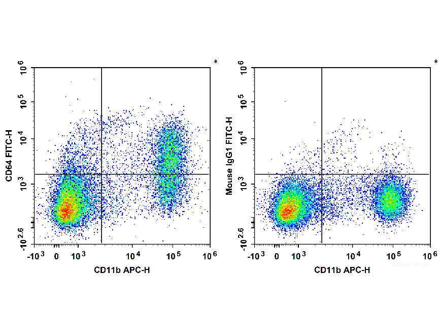 FITC Anti-Mouse CD64/FcγRI Antibody[X54-5/7.1]