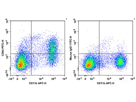 FITC Anti-Mouse CD64/FcγRI Antibody[X54-5/7.1]