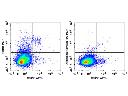 PE Anti-Mouse FcεRIα Antibody[MAR-1]