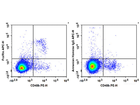 APC Anti-Mouse FcεRIα Antibody[MAR-1]