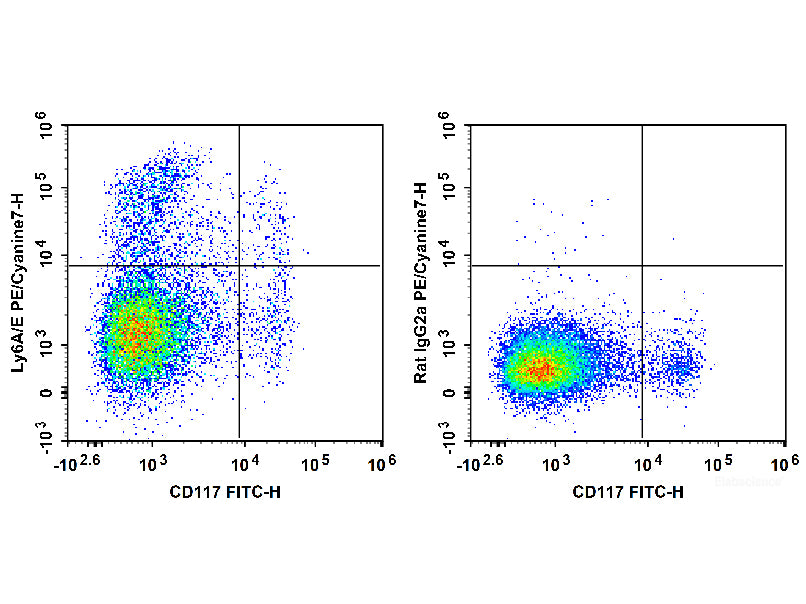 PE/Cyanine7 Anti-Mouse Ly6A/E(Sca-1) Antibody[D7]