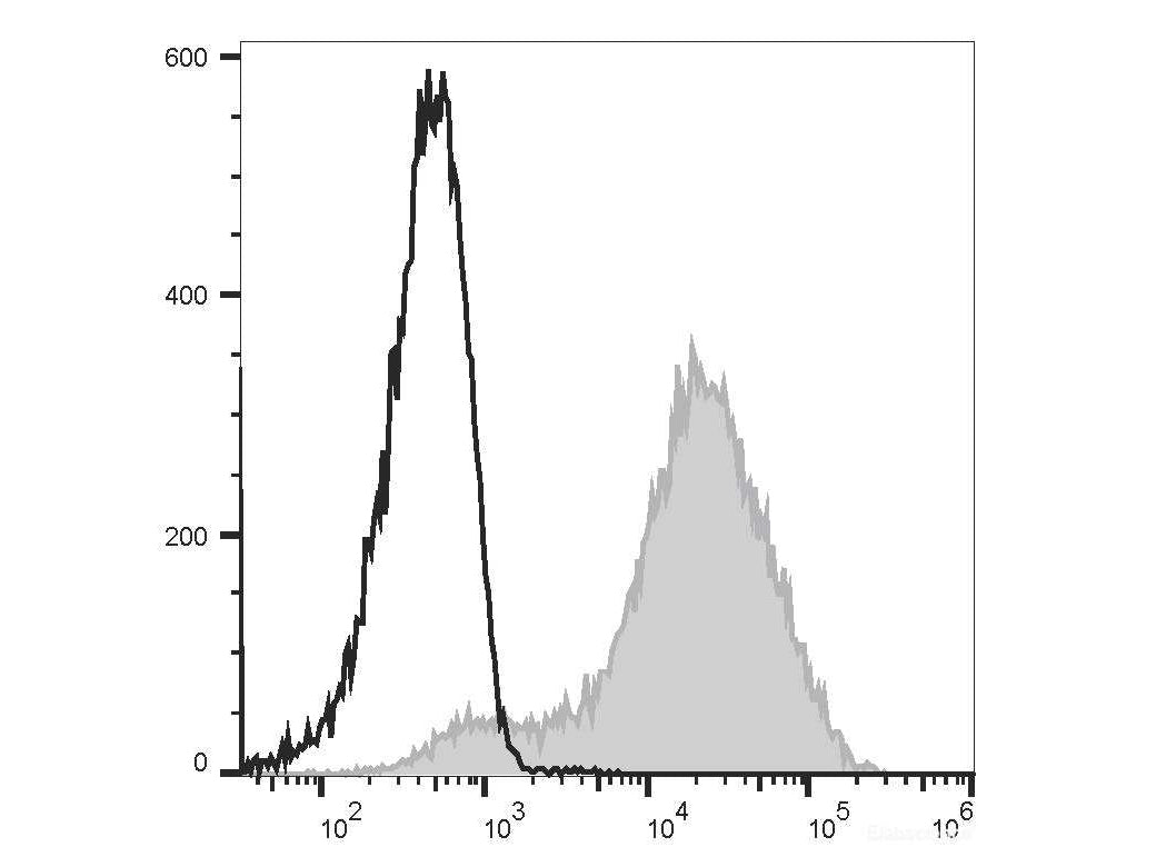 Elab Fluor® 488 Anti-Mouse Ly6A/E(Sca-1) Antibody[D7]