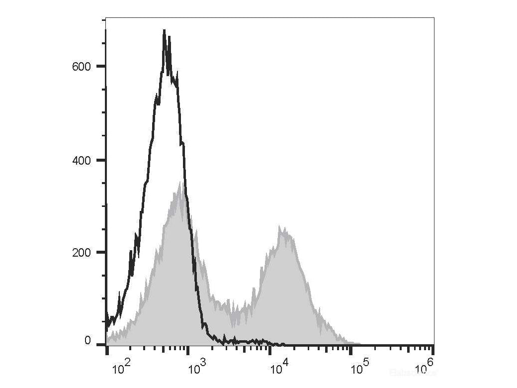 FITC Anti-Mouse CD38 Antibody[NIMR5], Biomarkers, Elabscience Biotechnology, MSE Supplies