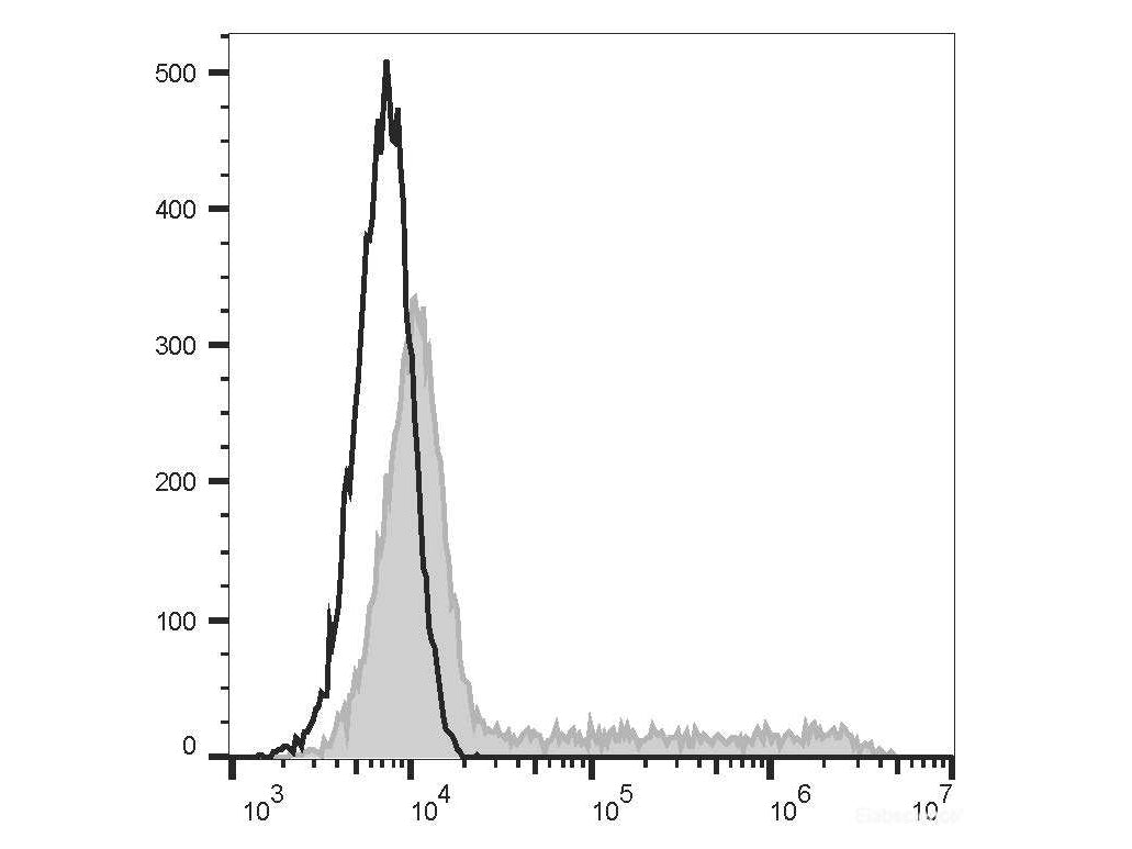 FITC Anti-Mouse IL-17A Antibody[TC11-18H10.1], Biomarkers, Elabscience Biotechnology, MSE Supplies