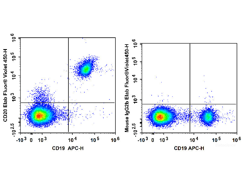 Elab Fluor® Violet 450 Anti-Human CD20 Antibody[2H7], Biomarkers, Elabscience Biotechnology, MSE Supplies