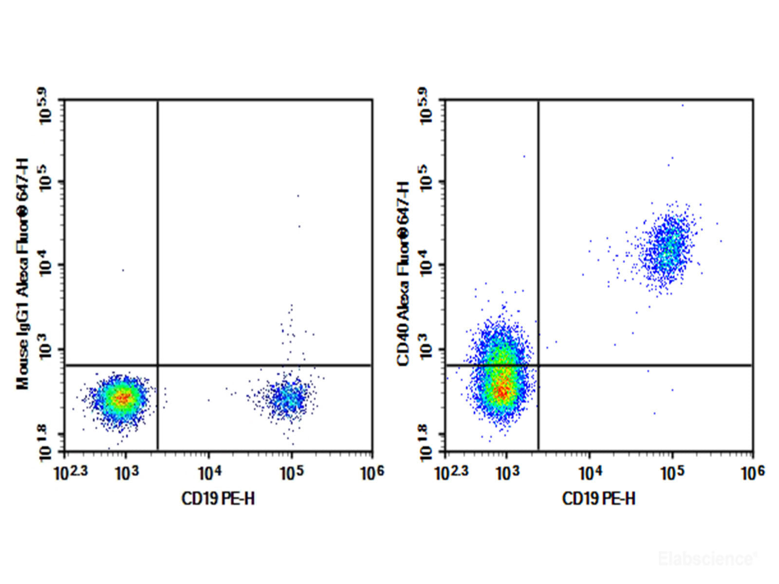 Purified Anti-Human CD40 Antibody[G28.5], Biomarkers, Elabscience Biotechnology, MSE Supplies