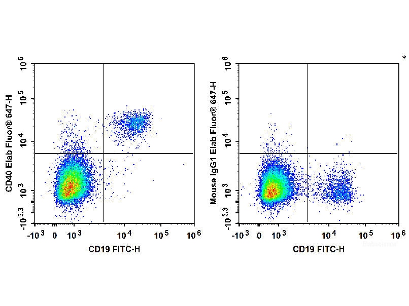 Biotin Anti-Human CD40 Antibody[G28.5], Biomarkers, Elabscience Biotechnology, MSE Supplies