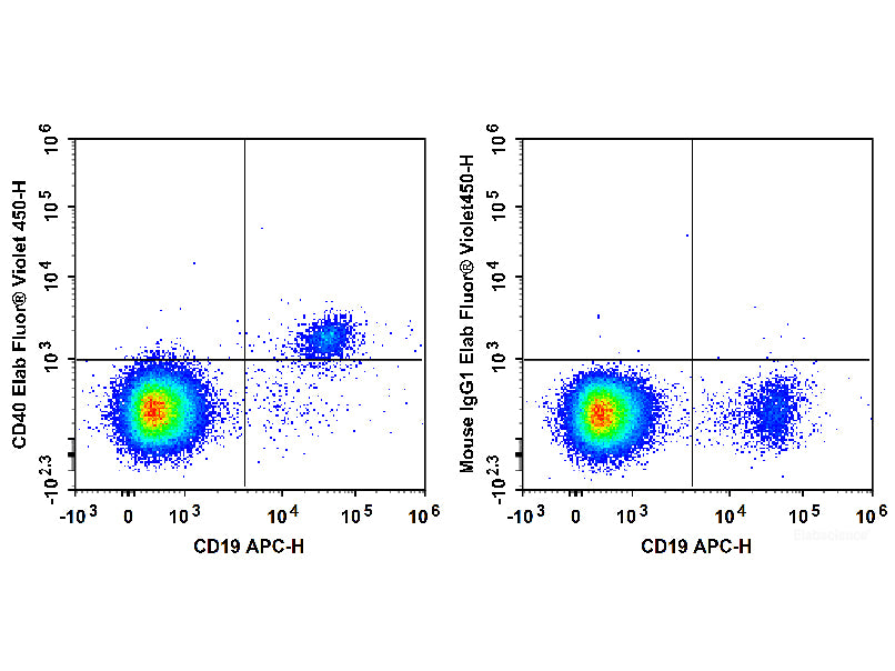 Elab Fluor® Violet 450 Anti-Human CD40 Antibody[G28.5], Biomarkers, Elabscience Biotechnology, MSE Supplies