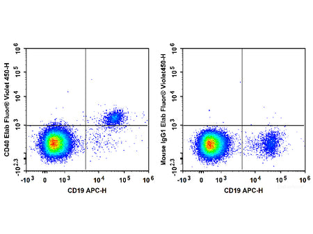Elab Fluor® Violet 450 Anti-Human CD40 Antibody[G28.5], Biomarkers, Elabscience Biotechnology, MSE Supplies