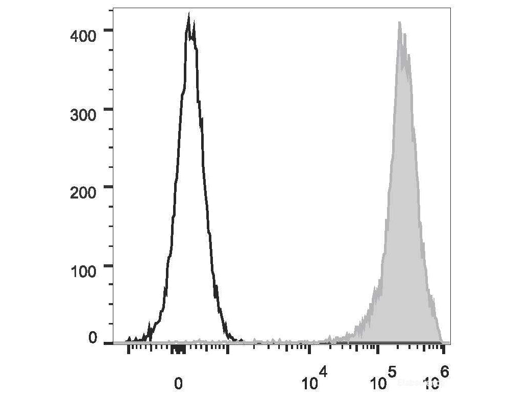 FITC Anti-Rat CD90/Mouse CD90.1 Antibody[OX-7], Biomarkers, Elabscience Biotechnology, MSE Supplies