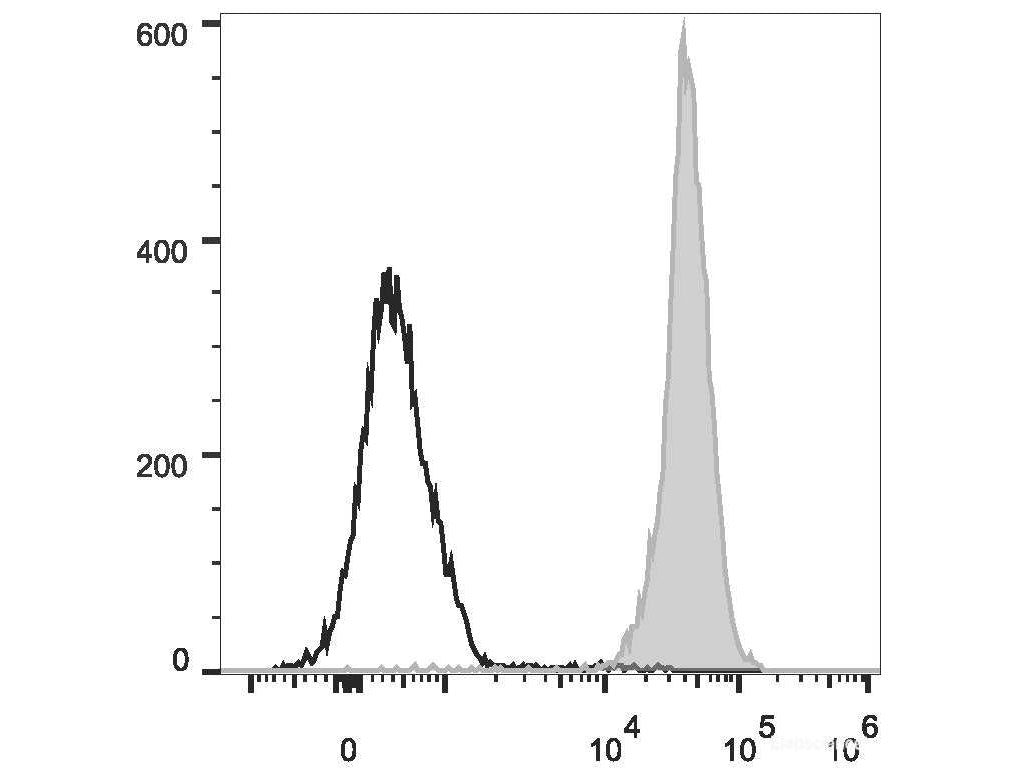 PE Anti-Rat CD45 Antibody[OX-1], Biomarkers, Elabscience Biotechnology, MSE Supplies