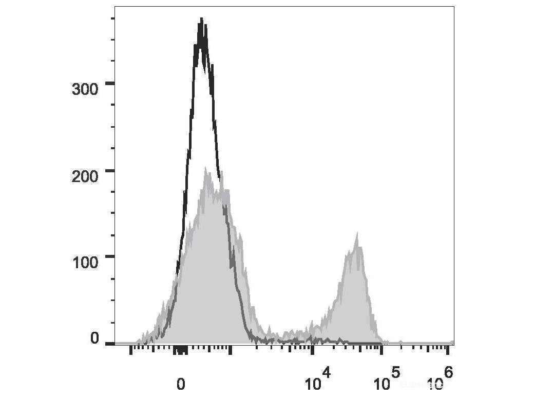 PE Anti-Rat CD3 Antibody[G4.18], Biomarkers, Elabscience Biotechnology, MSE Supplies