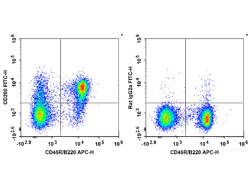 FITC Anti-Mouse CD200/OX2 Antibody[OX-90]