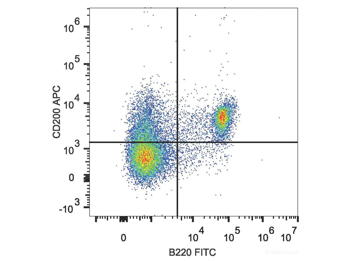 APC Anti-Mouse CD200/OX2 Antibody[OX-90]